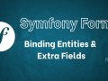 Binding Entities, Extra Fields, and Handling Data in Symfony Forms