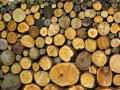 The Importance of a Good Logging Mechanism and How to choose one