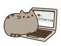 lscpu + neofetch = cpufetch