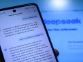 DeepSeek faces probe in Netherlands over data handling
