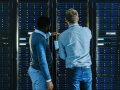 7 Different Types of Servers That Will Fulfill All Your Business Needs