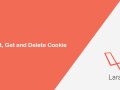 Laravel 9 Cookie Usage Tutorial With Code Example 2022