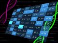 Solving NP-Complete Problems with Genetic Algorithms: A Powerful Approach
