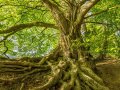 Git Worktrees: The Best Git Feature You’ve Never Heard Of