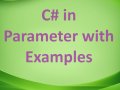 C# in Parameter with Examples