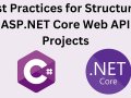 Best Practices for Structuring ASP.NET Core Web API Projects