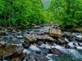 Use Streams in Flutter Like This Whenever You Need To Deal With Data That Arrives Over Time, Like User Inputs, API Responses, or Even File Downloads.