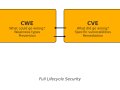 CWE vs. CVE: What They Are and Why You Need Both