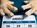Paws Airdrop Listing Date: New Exchange Set for Early 2025