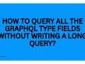 How to query all the GraphQL type fields without writing a long query?
