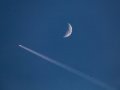 SpaceX Expands Megaconstellation With Launch of 20 More Starlink Satellites