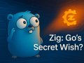? Is Zig Secretly Building Everything Go Fans Wished For?