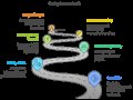 The Importance of Version Control Systems