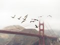 How to Migrate From Docker Compose to Kubernetes