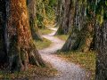 Beginner Python Freelancer Projects: Pathways to Earning in 2023