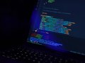 Colorful Outputs in Terminal: Unlocking Visual Power with Python Logging and Zsh