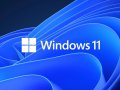 Windows 11 Pro vs Windows 11 Home: which version is right for you?