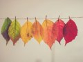 Why I Ditched Evernote and Obsidian for Notion: The Game-Changing Factor