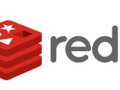 Redis and Its Data Storage