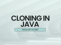 Interview Alert: Shallow vs Deep Cloning in Java?