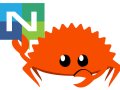 Async Messaging in Rust: Building Resilient Consumers With Tokio and NATS