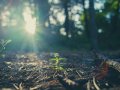 Quantization, Pruning, Distillation: What Do These Buzzwords in Large Models Really Mean?