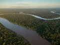 Tropical Rainforest Index