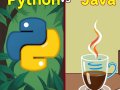 Key differences between Python and Java