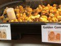 Mail-order chicks are arriving dead, costing Maine farmers thousands of dollars