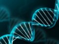 Helix Search ~ Searching Algorithm