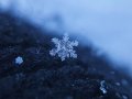 Is Snowflake a Data Warehouse for Analytics and Insights?