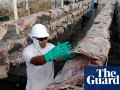 World’s biggest meat producer JBS pays $11m cybercrime ransom