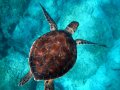 Run shell commands from a Kotlin script or application with ease