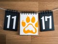 Paws Airdrop Listing Date Confirmed: What Investors Need to Know