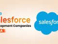 Top 10 Salesforce Development Companies in the USA 2025