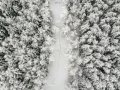 Record-breaking snowfall cloaks Moscow