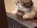 5 Open Source Projects That’ll Make You a Better Developer in 2025 — Developers, Don’t Miss These