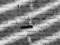 PDF Text Extractor