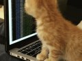 A guide to build Burp Suite extensions using Montoya API & Java