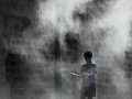 The Top 10 Weather and Climate Stories of 2019