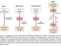 Generate Synthetic Data from Scratch to Fine-tune LLMs