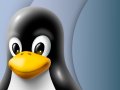 A worrying stealthy Linux security bug could put your systems at risk - here's what we know