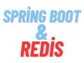 Connecting and Using Redis in Spring Boot with Jedis