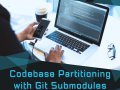 Codebase Partitioning with Git Submodules in JavaScript Projects