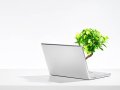 Coding Drains You. This is Your Survival Guide.