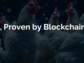 Why We Built Pondus from the Ground Up — and What Comes Next