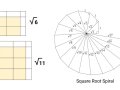 Find the Square Root of a Number