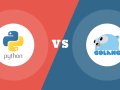 Python Vs Golang