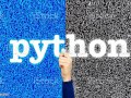 The Rise of Python: A Modern Programming Language