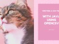 Writing a CSV File with Java Using OpenCSV
